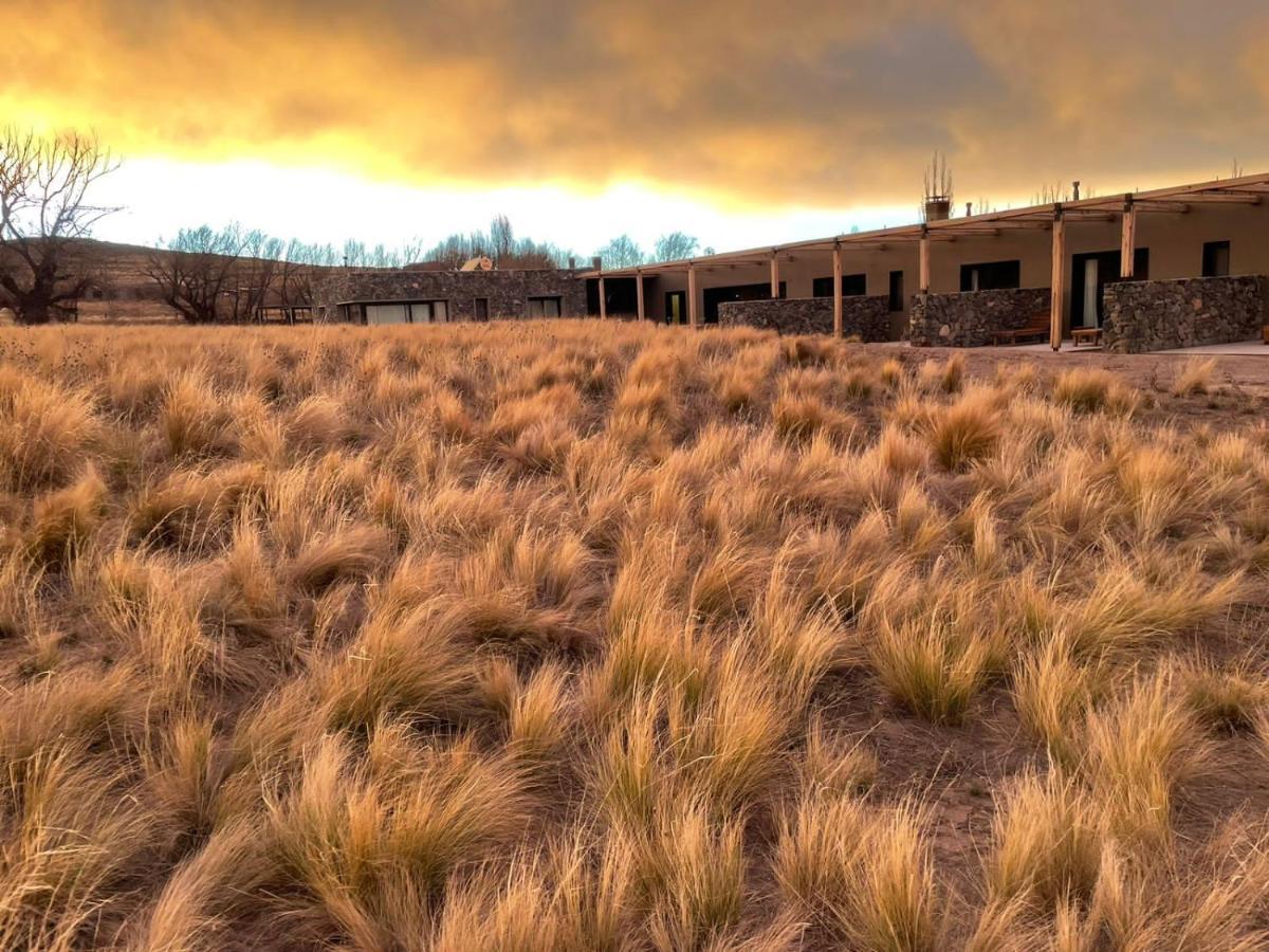 Rancho Adobe Eco Hotel Tupungato Extérieur photo